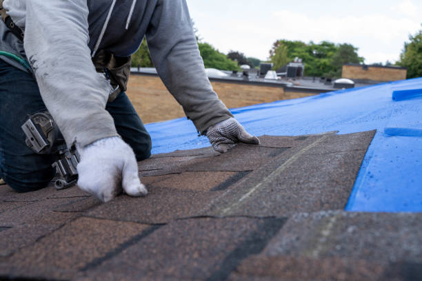 Best Roof Repair Services  in Big Rock, IL